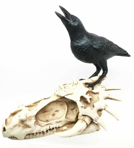Vulture Crow Raven Perching On Dragon Skull Fossil Figurine Sculpture 9