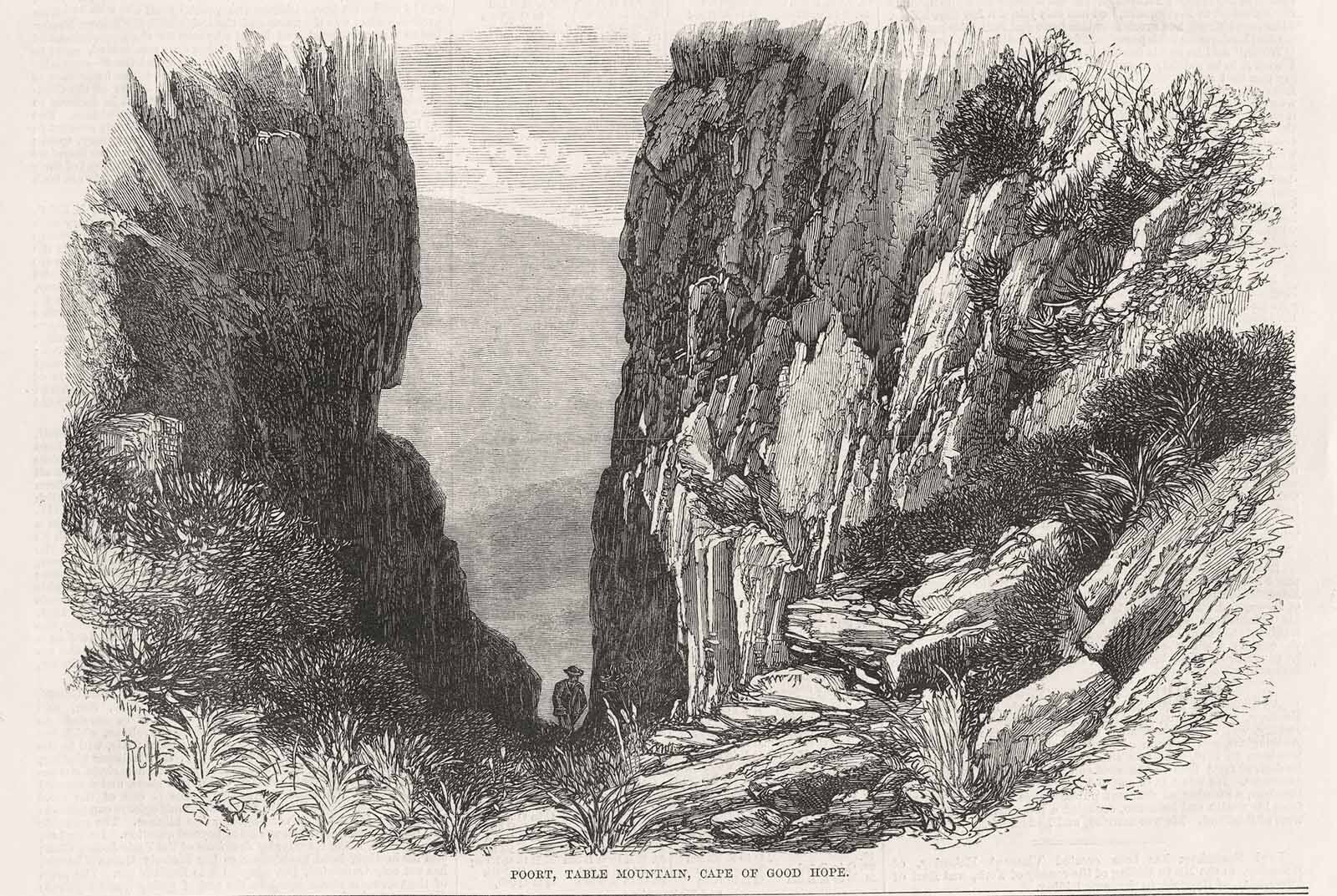 Table Mountain Kasteelspoort Cape Town South Africa 1868 Antique Print