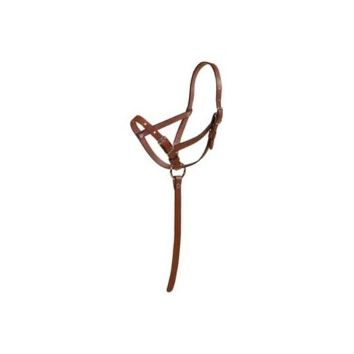 Tory Foal Slip Halter with Grab - Brown - Foal - #21041